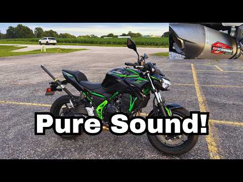2025 Kawasaki Z650 Yoshimura Full Exhaust System Pure Sound! - YouTube