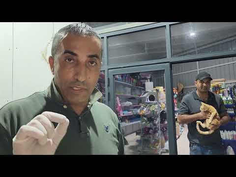 طريقة السيطرة على القطط التي تصبح شرسه عند اعطائها الدواء مع جمال العمواسي