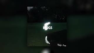 Marcus Pitfall - Bugs