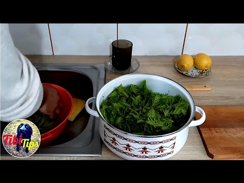 Video: Borovicové Pupeny Na Kašel: Recept Pro Děti I Dospělé, Recenze, Kontraindikace