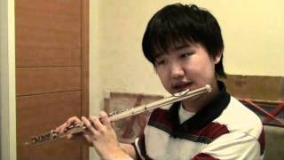 Dream a Little Dream (of me) - Flute cover 金莎廣告歌