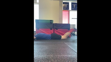 Prone Dumbbell Hamstring Curl