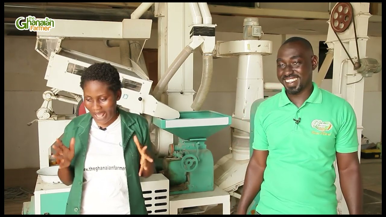 Он оставил работу инженера-технолога в строительстве, чтобы стать мельником риса | Смотрите сейчас.