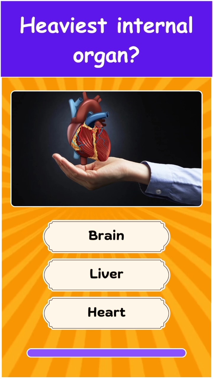 Heaviest Human Organ General Knowledge Quiz youtubeshorts shorts Heaviest Human Organ General Knowledge Quiz youtubeshorts shorts