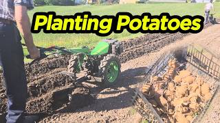 Planting Potatoes with a Walking Tractor (Furrows &amp; Hilling with DIY Attachments)