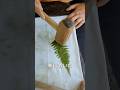 植物を使ったハンドメイド作品