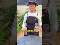 家家戶戶都有的一次性杯子,居然是養花神器#花卉綠植 #養花小知識 #愛生活愛養花 #種植小技巧