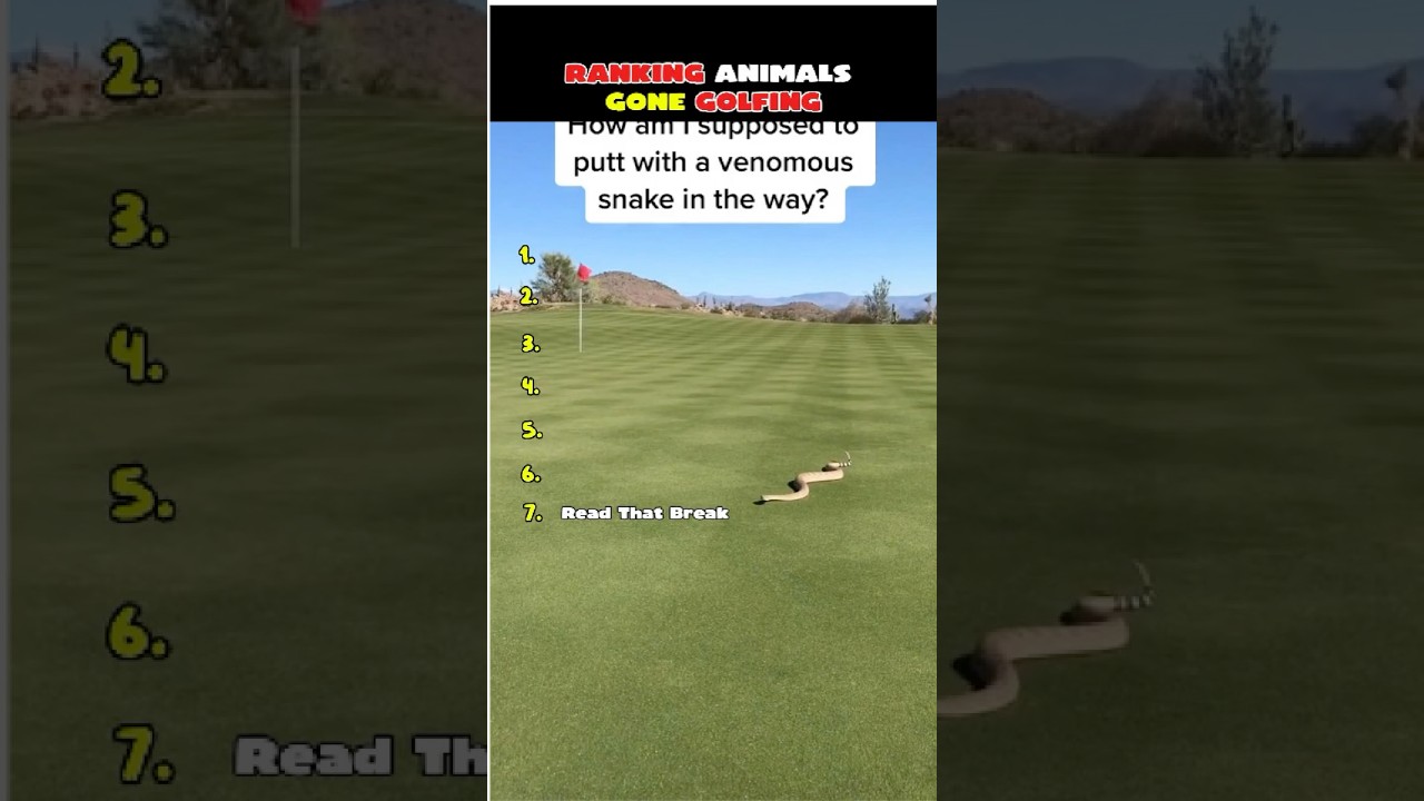 Ranking Animals Gone Golfing | Wild Golf Encounters 