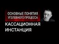 11. Кассационная инстанция