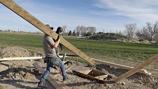 HANGAR BUILD. part 2 . Setting poles. Concrete. Trusses.