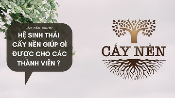 Hệ Sinh Thái Cấy Nền giúp gì được cho các thành viên ?