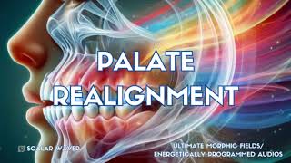 Palate Realignment PREMIUM SUPERCHARGED ULTRA POWERFUL!!! (Energetically Programmed)