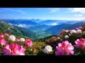 Beautiful Calm Piano Music🌿Beautiful Nature Scenery🌸