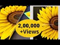 Step by Step easiest Painting Sunflower art on a Large BLACK Canvas Yellow floral work ideas