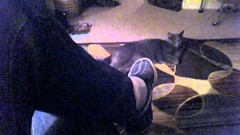 Cat Song - Ode To Boris
