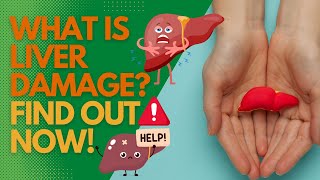 What Is Liver Damage? Find Out Now