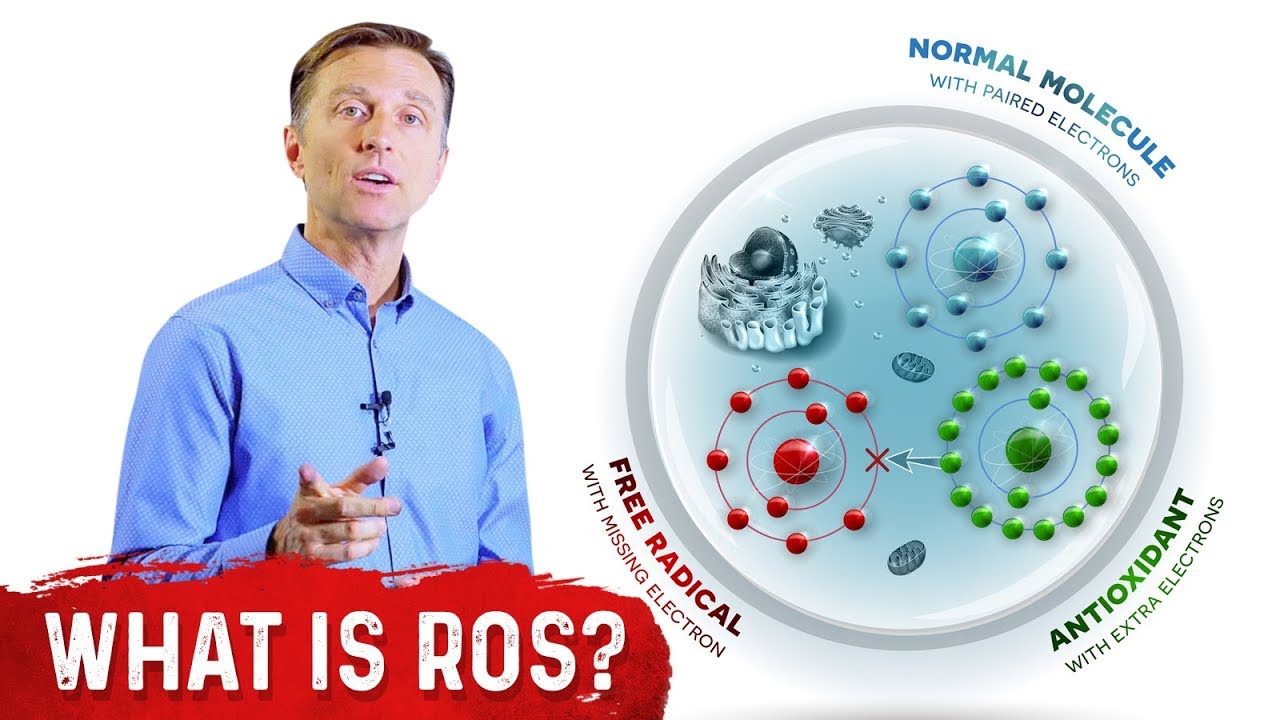 What is ROS, When to use it, and Why ? - Robot Operating System Tutorial