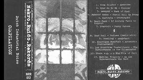 Various - Dutch Industrial Noise - Cassette (Nekro.Ruido.Rekords 2024)