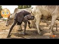 الاستحمام ببول البقر - حقائق غريبه عن جنوب السودان والقبائل التي تسكن حول النهر