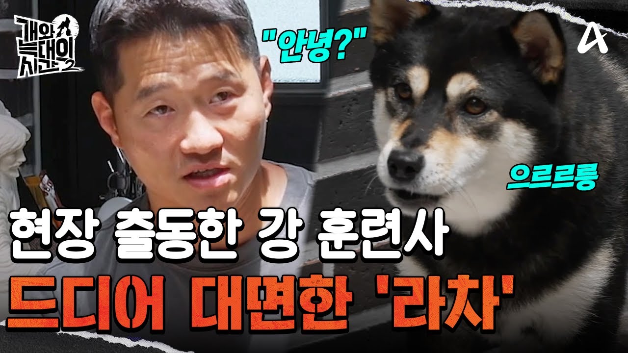 드디어 출동한 강 훈련사! 살벌하게 짖기 시작하는 '라차' | 개와 늑대의 시간2 33 회