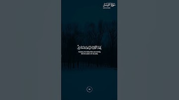أمن هو قانت آناء الليل ساجداً وقائما 🌿 سورة الزمر 🌿 حالات واتس اب قران 🌿 القارئ #ياسر_الدوسري 🌿