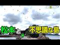 【大群】松本Dが鳥の大群に襲われていました