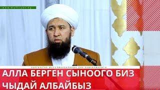 картинка: Алла берген сыноого биз чыдай албайбыз