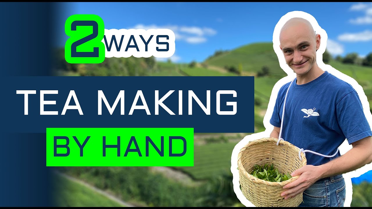 Two Methods To Make Kamairicha Green Tea By Hand - YouTube