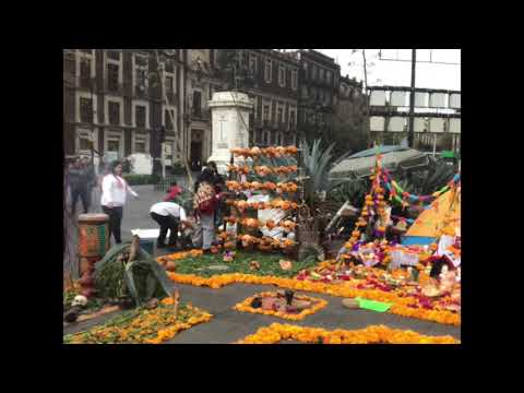 Video: 14 Mest Za Popoln Vikend V Mexico Cityju - Matador Network