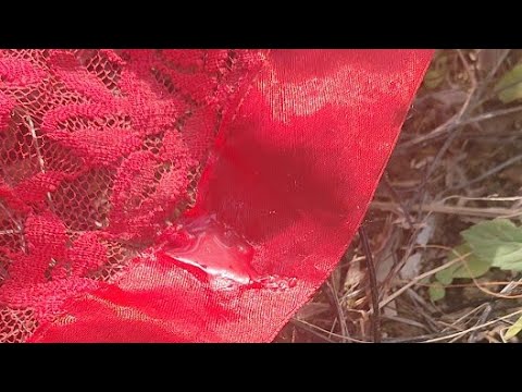Video: Mawar: Rombongan Yang Sesuai Untuk Ratu Taman