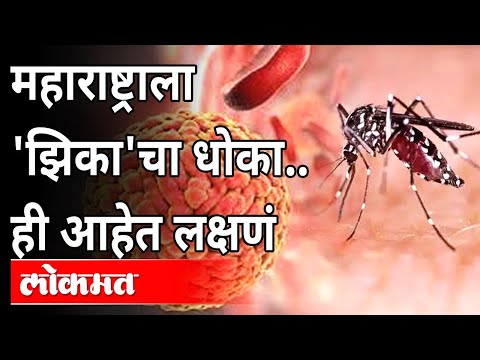 महाराष्ट्राला &rsquo;झिका&rsquo; व्हायरसचा धोका आणि त्याची लक्षणे काय आहेत? Zika Virus Symptoms In Maharashtra