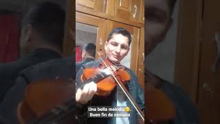 Melodia violin - Lagrimas del Pilcomayo (Yalo Cuellar)