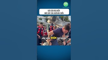 Giải Cứu Rùa Biển Mắc Dây Câu Dưới Đáy Biển #shorts #khamphathegioikydieu