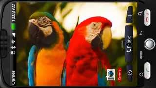 Beautiful Parrots Couple Deluxe HD Edition 3D Live Wallpaper for Android screenshot 2