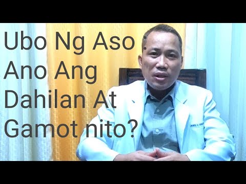 Video: Pag-ubo Sa Aso - Pag-ubo Sa Paggamot Ng Mga Aso