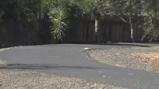 Vacaville woman attacked on bike trail saved by inmate officer and crew