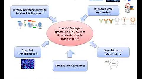 Karine Dube: Socio-behavioral sciences/ethics around HIV cure research