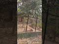 mini vlog