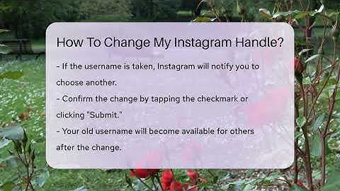 How To Change My Instagram Handle? - Everyday-Networking