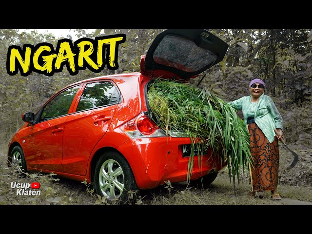 DAGELAN JOWO 113 - SIMBAH KECE INI NGARIT PAKAI MOBIL -  Mbah Minto Ucup Klaten class=