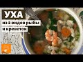 Рыбный суп (уха) из белой и красной рыбы с креветками