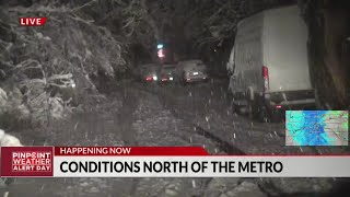 Trees sagging from heavy snow in Boulder