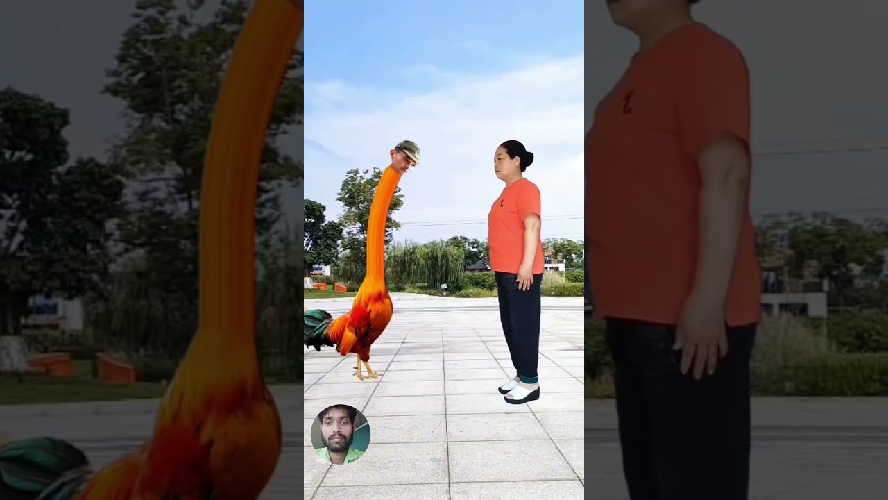 funny videos #comedyshorts #funedit #funnyvideos #funny #duckattack #vfx #entertaininganimals