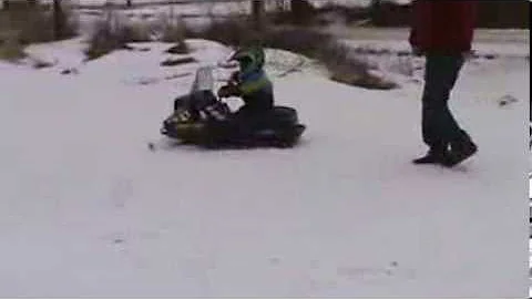 Arctic Cat Kitty Cat for sale