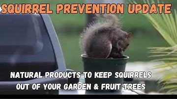 KEEPING SQUIRRELS OUT OF YOUR GARDEN & FRUIT TREES | #justaradlife #gardenhacks #gardening