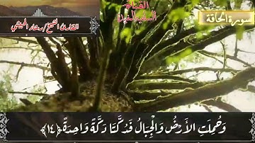 من سورة الحاقة للقارئ الشيخ /رشاد الحبيشي