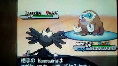 ポケモン こだわりトリック