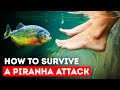 Only Way to Escape When Piranhas Surround You