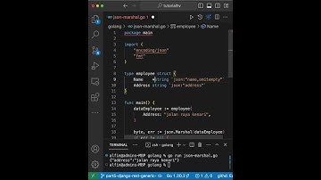 Tips Ignore Omitempty Bahasa Golang #shorts  #indonesia #dataengineers