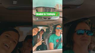 On the Road to Treetopia 🌲 Recording “Far Too Bright To Hide” 🎶